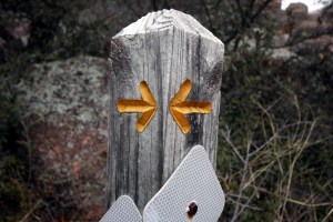 Photo by Wil C. Fry, accessed through Flickr Creative Commons.